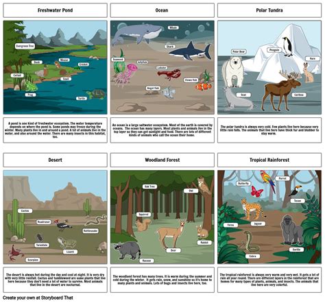 Habitats Storyboard By 9295b0ce