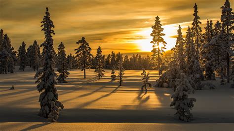 Download Wallpaper 3840x2160 Winter Snow Fir Tree Trees Sunset 4k