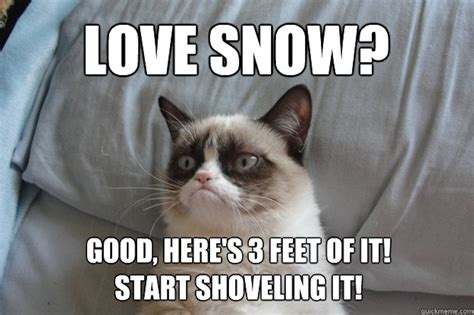 16 Epic Snow Shoveling Memes To Help You Laugh Through The Pain Of