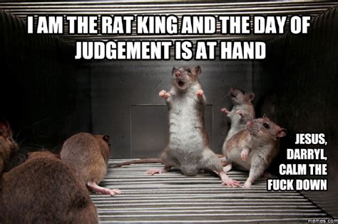 19 Funny Rats Meme That Put Smile On Your Face Memesboy