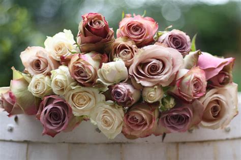 Dusky Pink Roses The Wedding Of My Dreams Blog