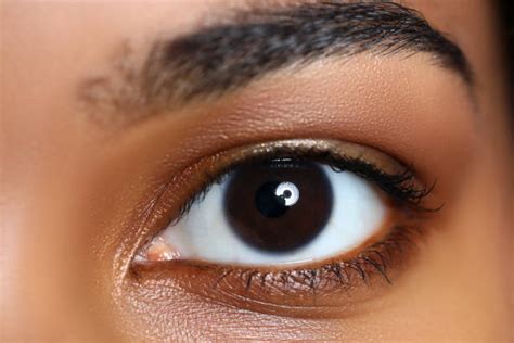 Dark Brown Eyes Stock Photos Pictures And Royalty Free Images Istock