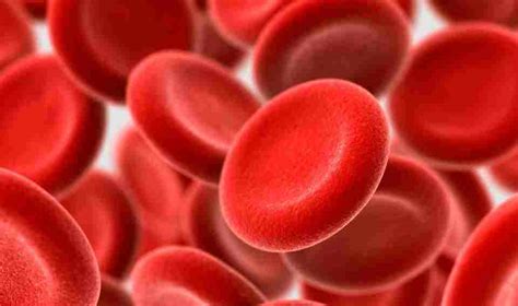 Facts On Red Blood Cells And Hemoglobin