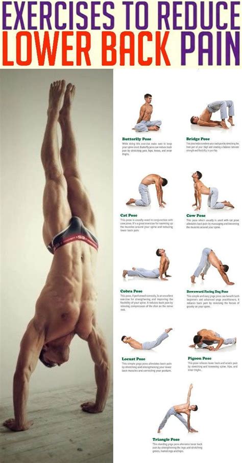 Best Yoga Poses For Lower Back Painting