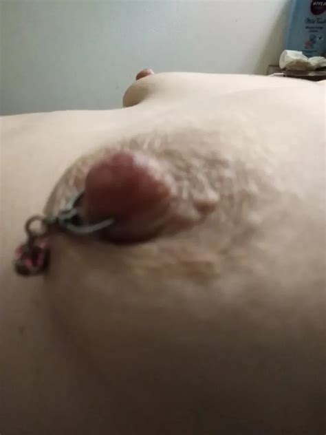 Mandys Hairy Pussy Big Pierced Milky Nipples And Fat Ass 22 Pics