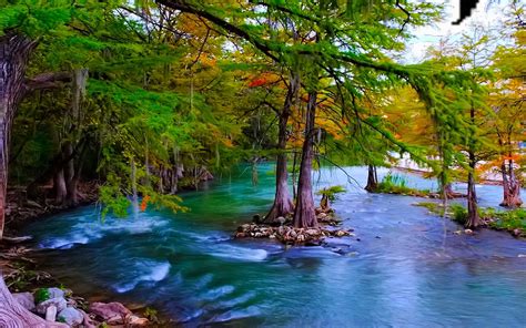 Beautiful Hd Wallpaper Mountain River With Turquoise Green Water Pine Trees Stone Free