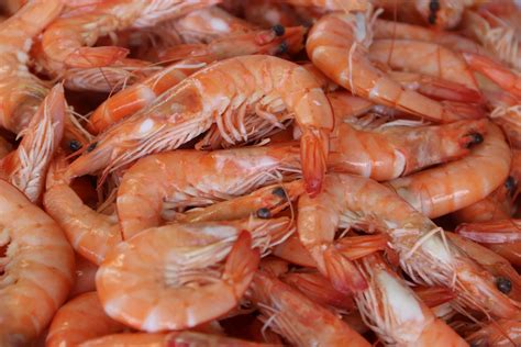 CREVETTES ROSES CUITES 40 60 FRUITS DE MER ET CRUSTACÉS LA PAYSANNE