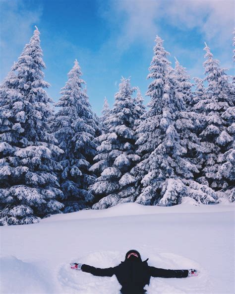 無料画像 木 雪 冬 山脈 車両 天気 スノーシュー シーズン ウィンタースポーツ 履物 地質学的現象