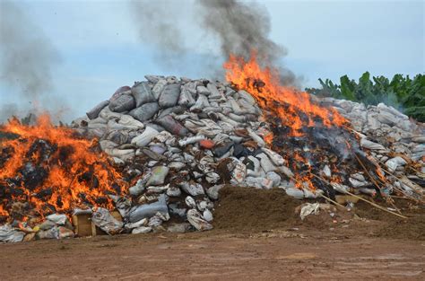 NDLEA destroys 110.5 tons of illicit drugs in Ondo State