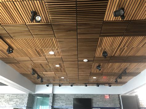 Acoustical Ceilings Commercial Grade Soundproofing Contractor Rhs