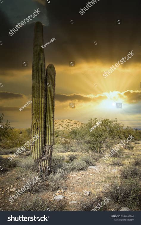 Arizona Desert Landscape Sun Rays Stock Photo 1934698805 Shutterstock