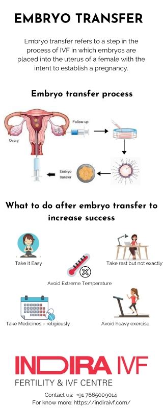 Embryo Transfer Process Powerpoint Ppt Presentations Embryo Transfer