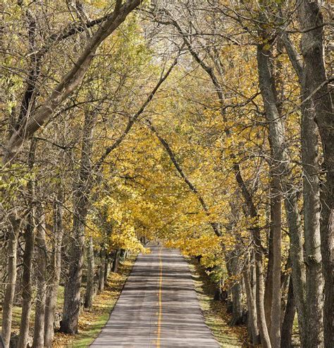The 9 Best Backroads In Kentucky For A Long Scenic Drive Artofit