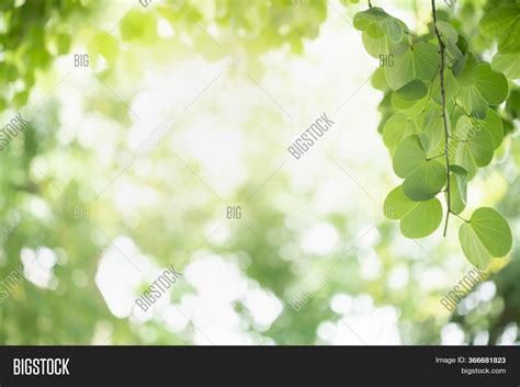 Beautiful Attractive Image And Photo Free Trial Bigstock