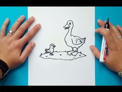 Como Dibujar Un Pato Paso A Paso 9 How To Draw A Duck 9