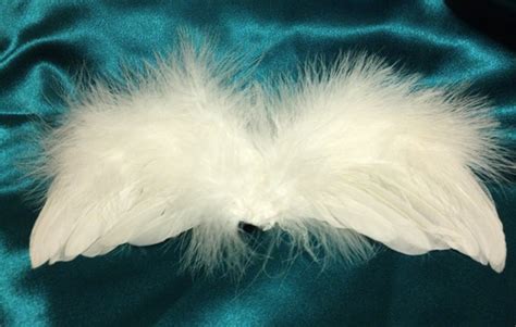 Fluffy White Angel Wings Diy Do It Yourself Supplies