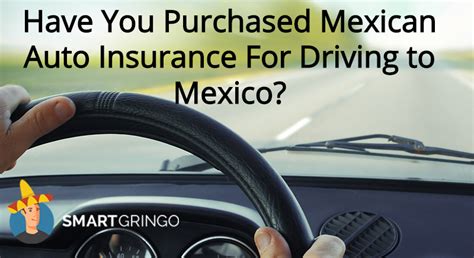 The geico insurance agency can help you get affordable insurance in mexico. Have You Purchased Mexican Auto Insurance For Driving To Mexico?