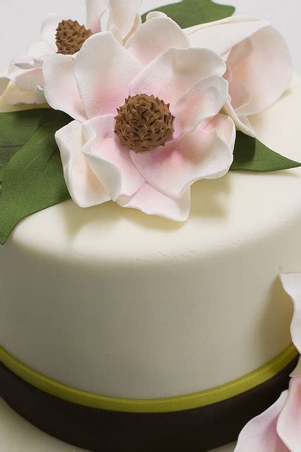 Magnolia Wedding Cake Magnolia Cake Magnolia Wedding Wedding Cakes
