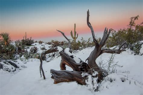 Snowy Sunrise In The Sonoran Desert Paul Flores Flickr