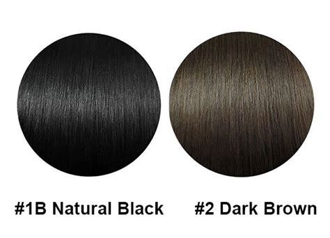 1b Vs 2 Hair Color What Is The Difference And How To Choose Oqhair