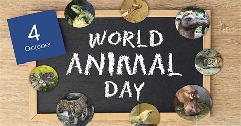 World Animal Day 2017 The Great Projects