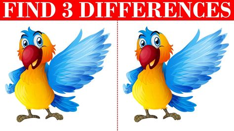 Spot The Differences Brain Game Find The Differences Between Two