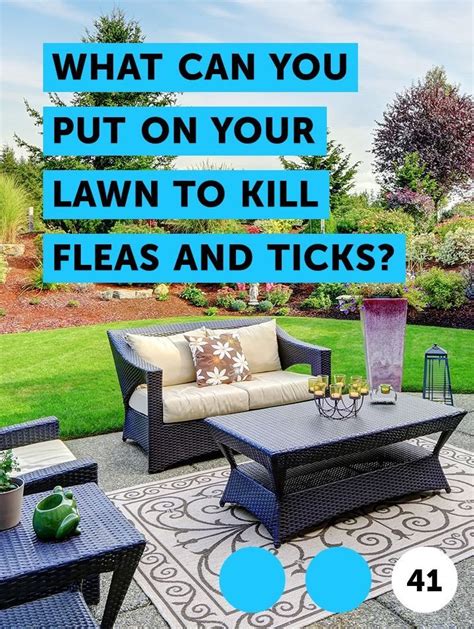 Precision is critical for control of weeds in gardens and flower beds. What Can You Put on Your Lawn to Kill Fleas and Ticks? | How to remove grass, Home vegetable ...