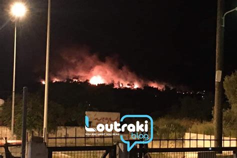 Έκτακτη ενημέρωση χαρδαλιά στις 18:00. Μεγάλη φωτιά στο Σχίνο Κορινθίας - Ζημιές σε τουλάχιστον ...
