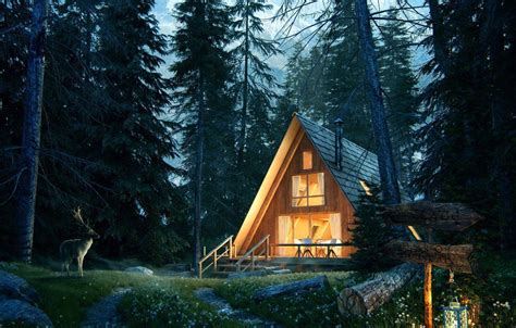 Forest House Wallpapers Top Free Forest House Backgrounds