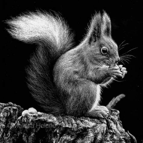 Amazing Expressions In Scratchboard Animals Portraits Beautiful