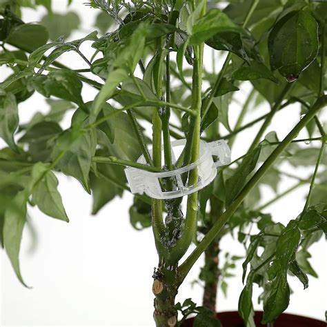 300 Piece Plant Support Garden Clip Tomato Trellis Clip Durable Crop