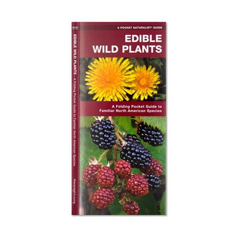 Edible Wild Plants Pocket Guide Peninsulas