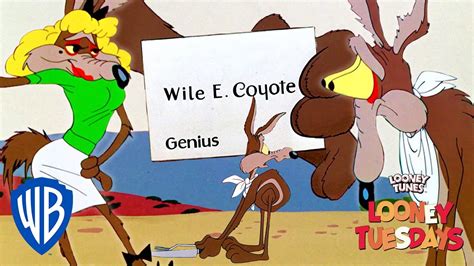 Looney Tuesdays The Best Or Worst Of Wile E Coyote Looney Tunes
