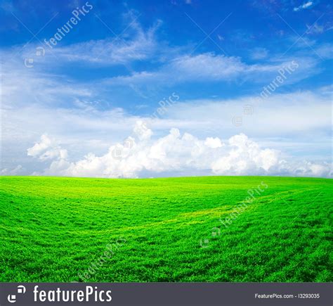 Image Of Green Field And Blue Sky