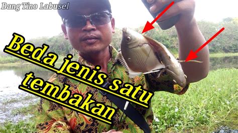 Nembak Ikan Beda Jenis Satu Tembakan Paser Mania Mantap YouTube