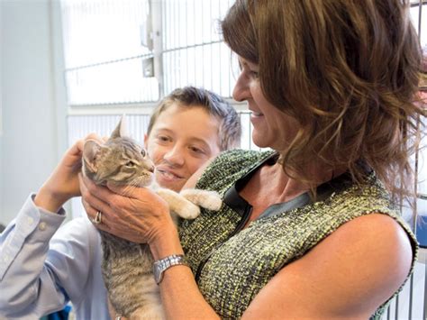 Pets And Owners Heal At Noahs Animal House