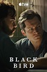 Black Bird (TV Mini Series 2022) - IMDb