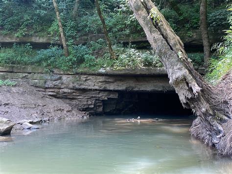 Mammoth Cave Canoe And Kayak Cave City All You Need To Know Before You Go