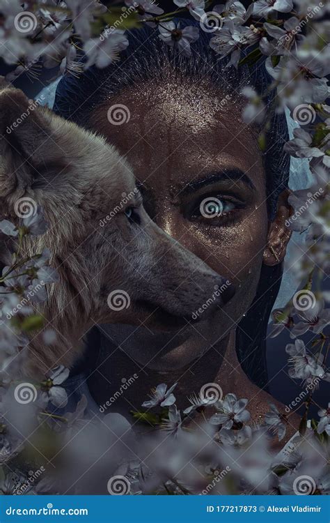 Beautiful Woman With Wolf Portrait Portrait Photoshoot Stock Image