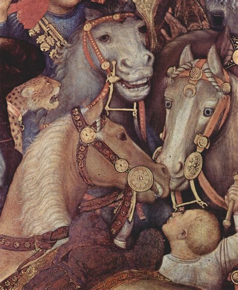 11 Facts You Never Knew About Medieval Warhorses