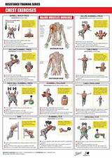 Pictures of Exercises Chest