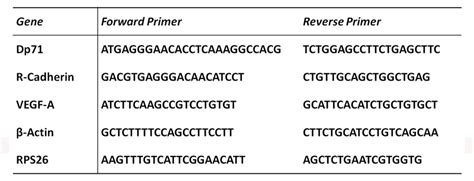 Forward And Reverse Primers Dada2 Its Pipeline Workflow 18 Dna