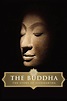 The Buddha (2010) — The Movie Database (TMDB)