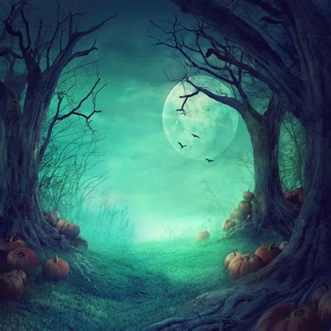 Laeacco Halloween Moon Night Haunted Forest Tree Pumpkins Photography