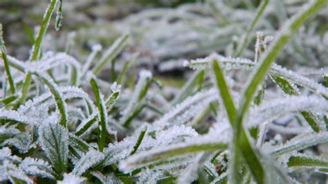 Frosty And Icy Weather Images Bbc Weather