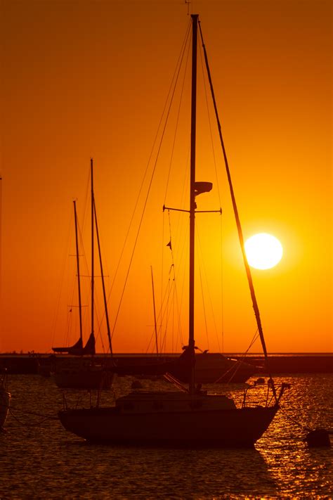 Sailboats At Sunrise Free Stock Photo Public Domain Pictures