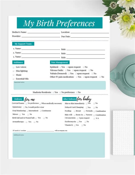 The Bump Birth Plan Template Template Business Format