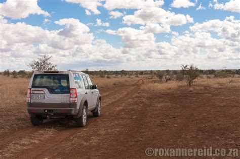 15 Things To Do In Northern Kruger National Park Roxanne Reid