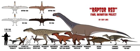 Raptor Red Established Creature Size Chart 3 By Codylake On Deviantart