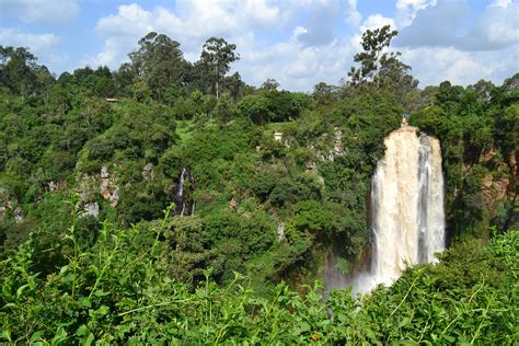 Kenya Africa Forest Jungle Waterfall Regeneration International